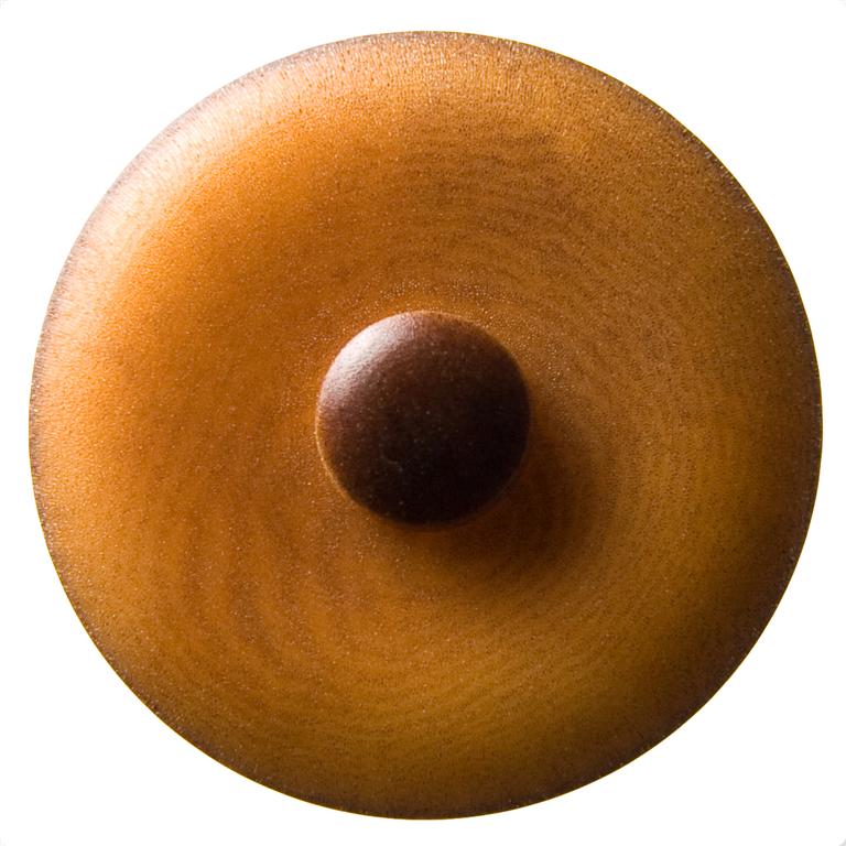 E1041